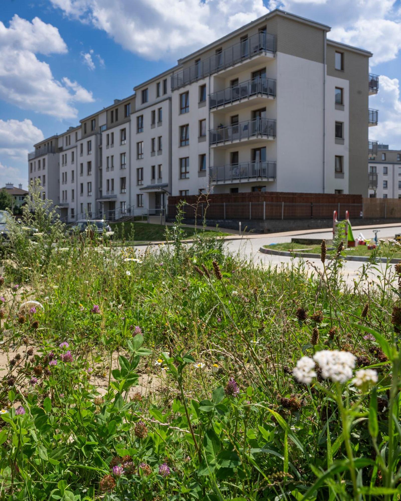 Apartament Wanessa Gdańsk Zewnętrze zdjęcie