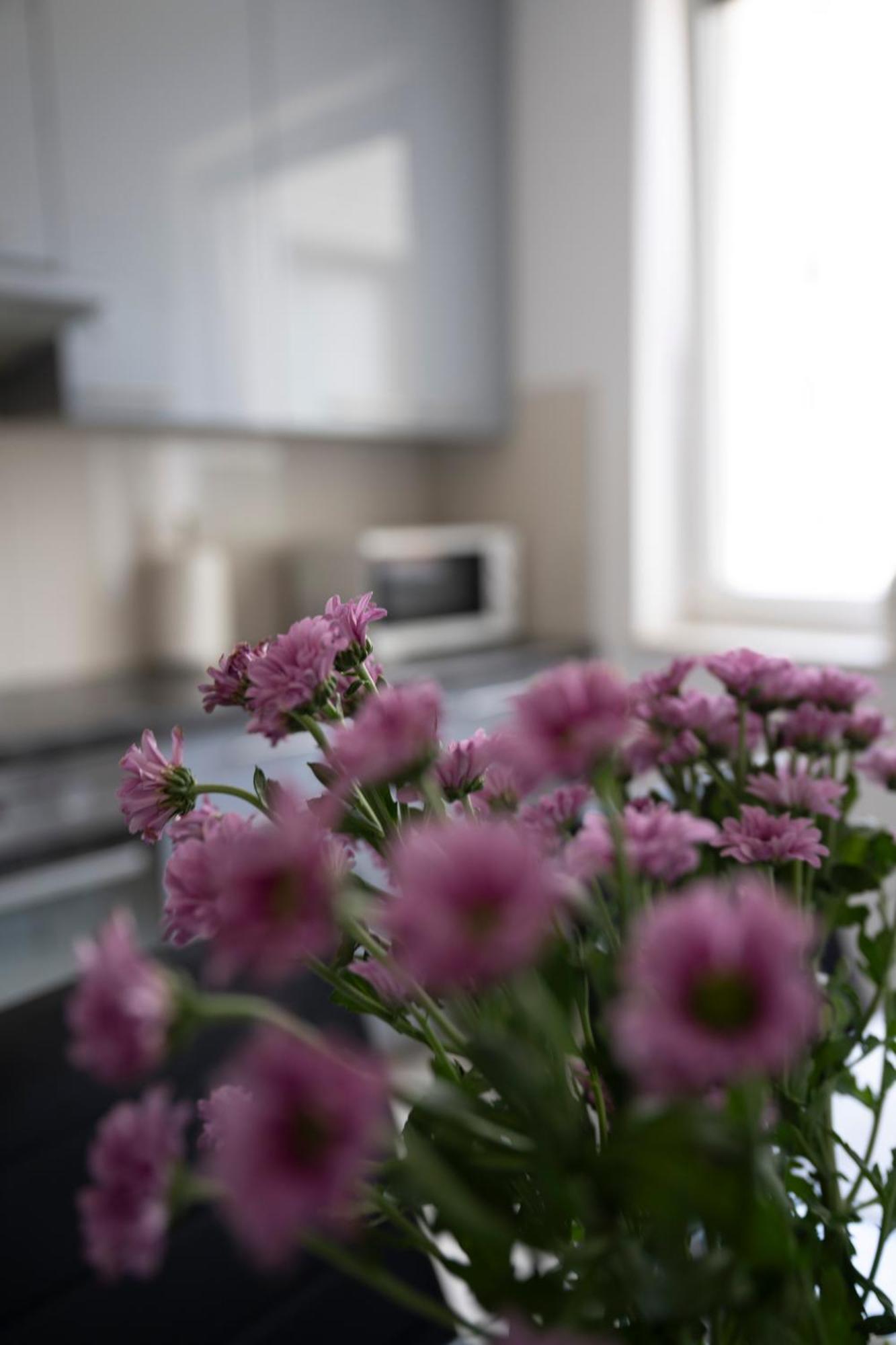 Apartament Wanessa Gdańsk Zewnętrze zdjęcie